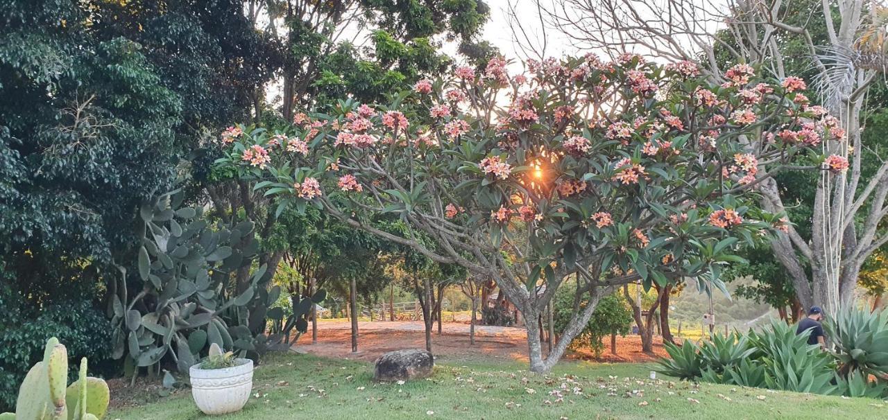 Ellementares Guest House Socorro  Exterior foto